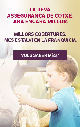 Asseguranca De Cotxe Tercers I Tot Risc Assegurances Lagun Aro